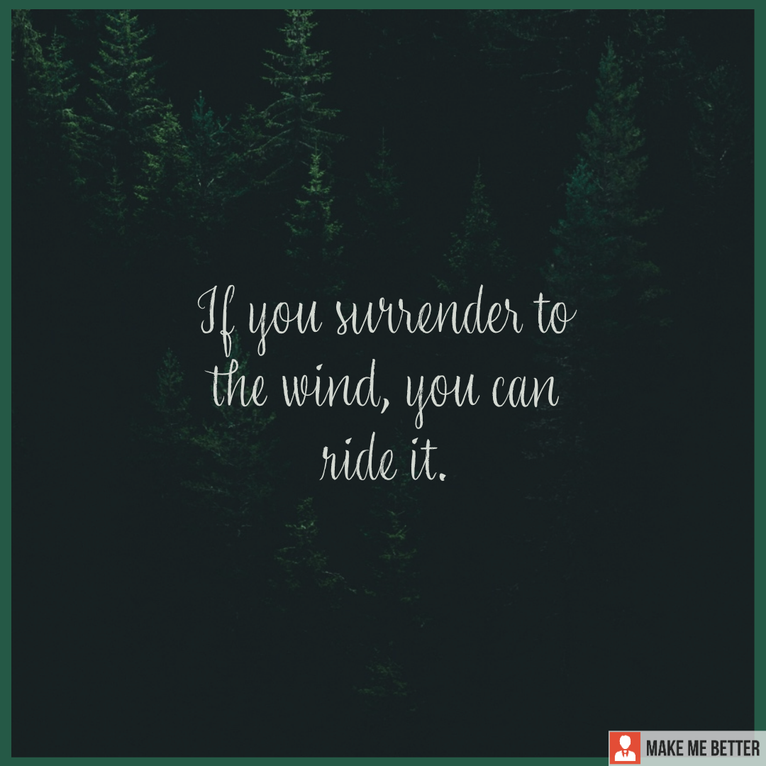 if-you-surrender-to-the-wind-you-can-ride-it-make-me-better